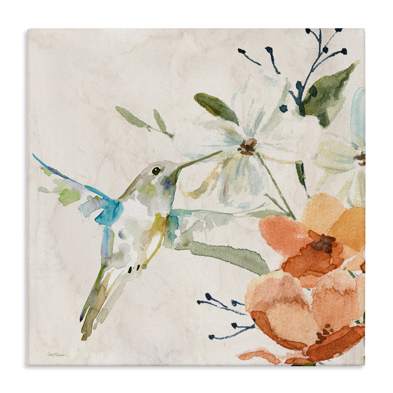 Stupell Industries Soft Florals & Hummingbird Canvas Wall Art Design by Carol Robinson